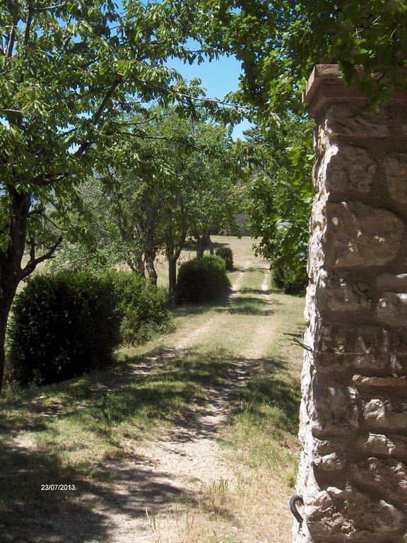 Agriturismo Il Palazzetto Lejlighed Campello sul Clitunno Eksteriør billede